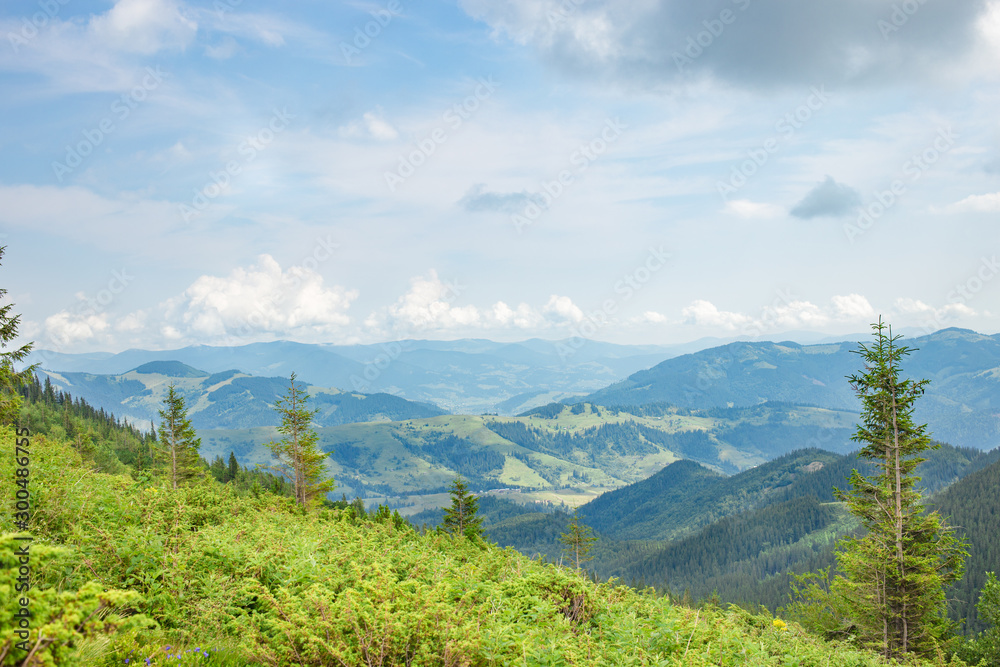 Mountains with Plants against Blue Cloudy Sky