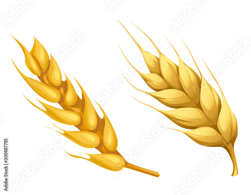 vector nature volume yellow spikelets