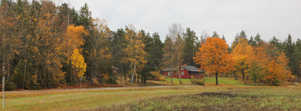 Obraz premium Golden October day in Mellerud, Sweden.
