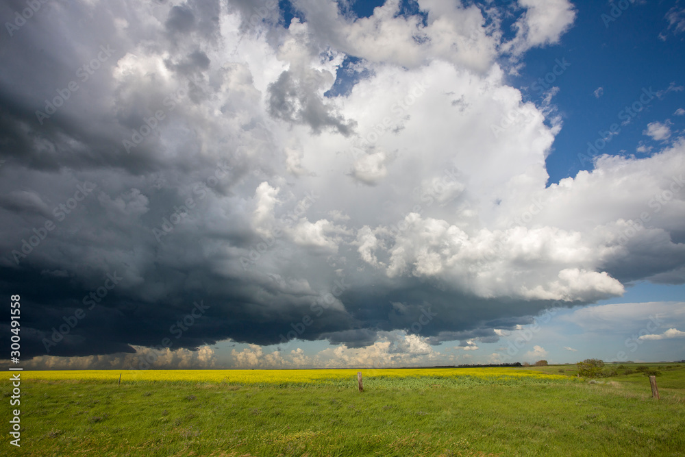 Obraz premium Prairie Storm Clouds Canada