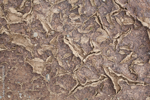 cracked ground with various granite stones
