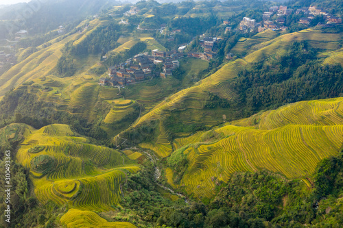 Longji Rice terraces China aerial View  photo