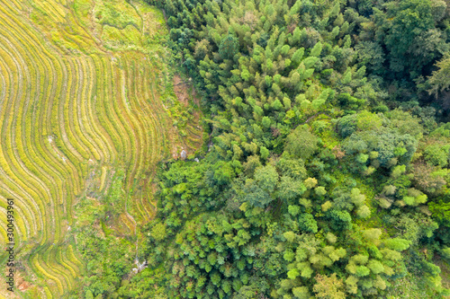 Longji Rice terraces China aerial View  photo