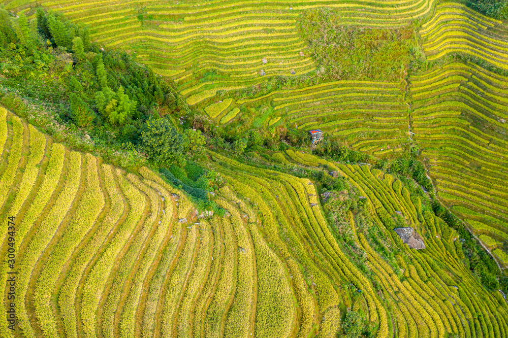 Longji Rice terraces China aerial View Longji Rice terraces China aerial View