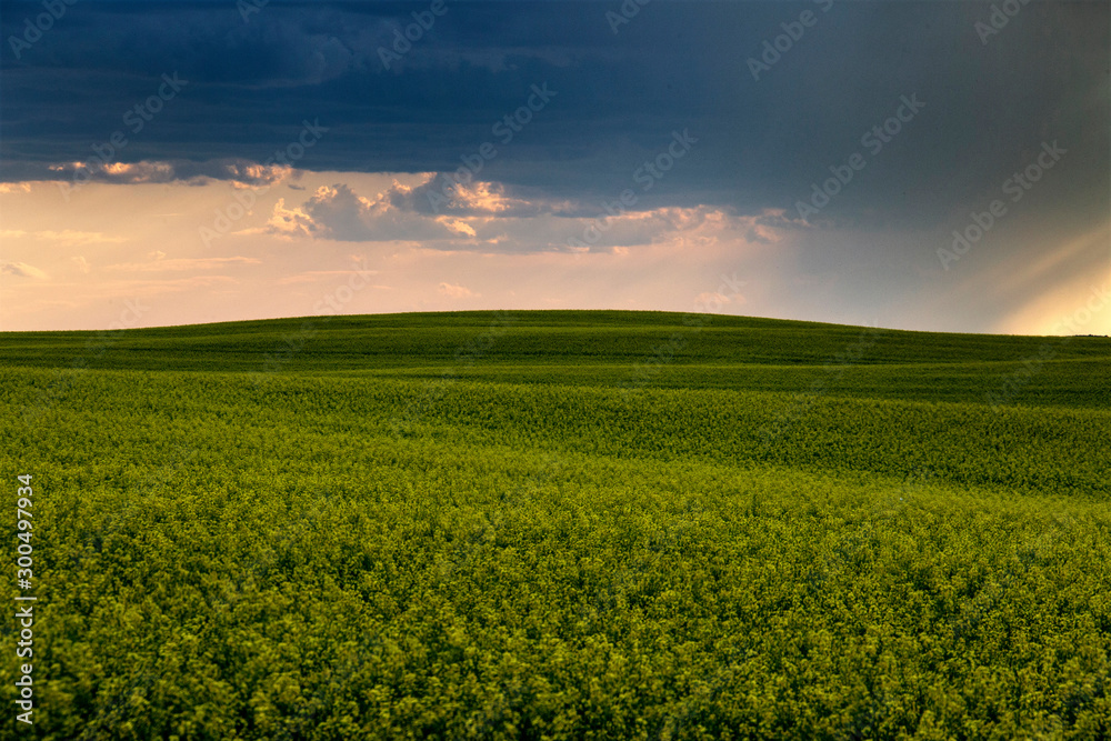 Naklejka premium Prairie Storm Clouds Canada