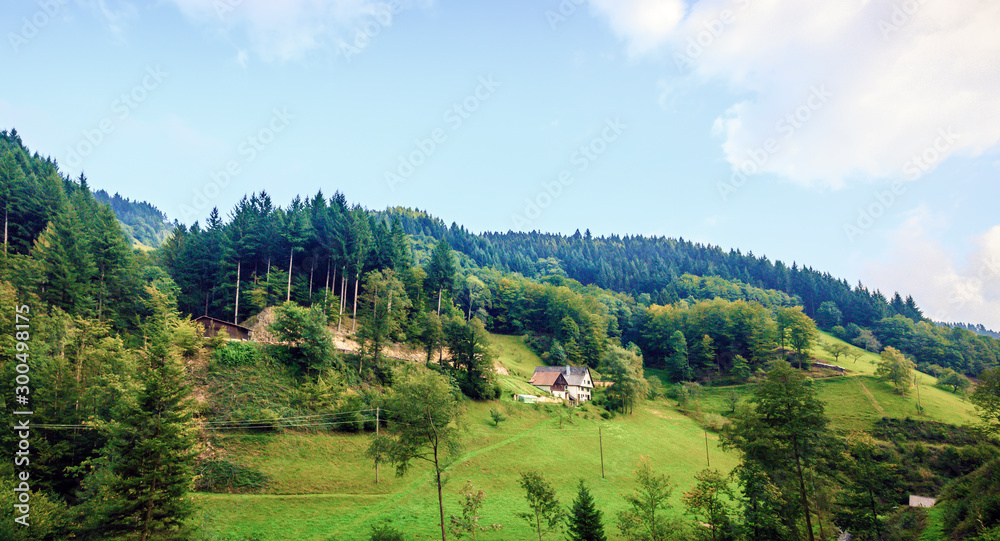 Black Forest Scenery