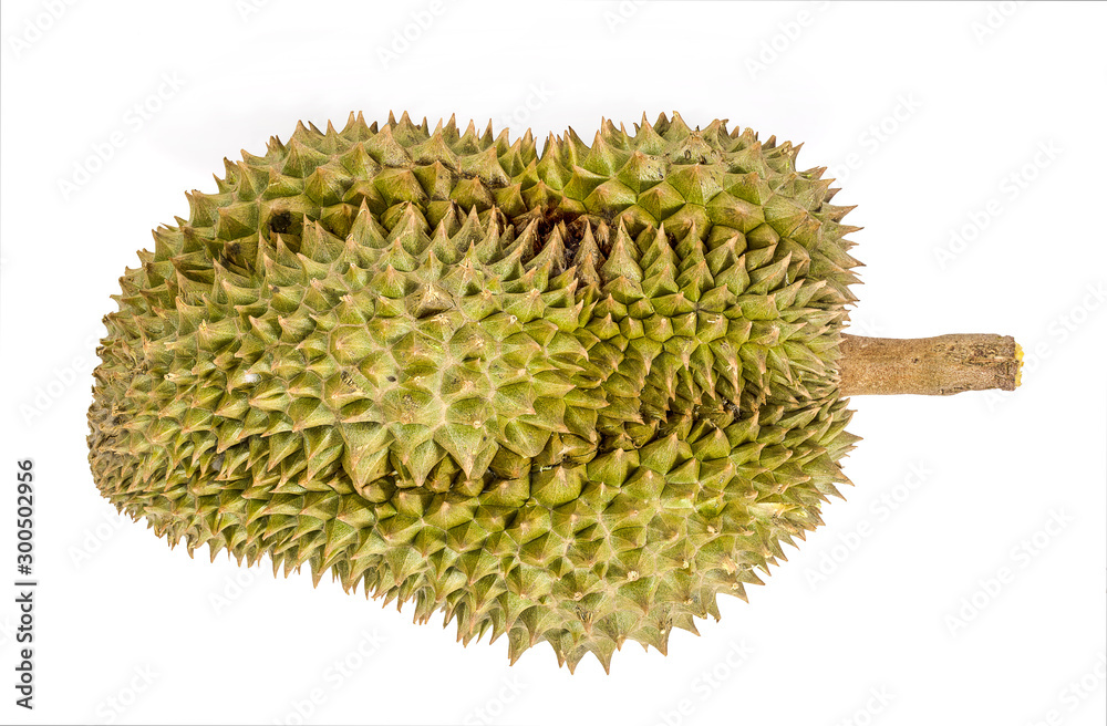 durian isolated on white background