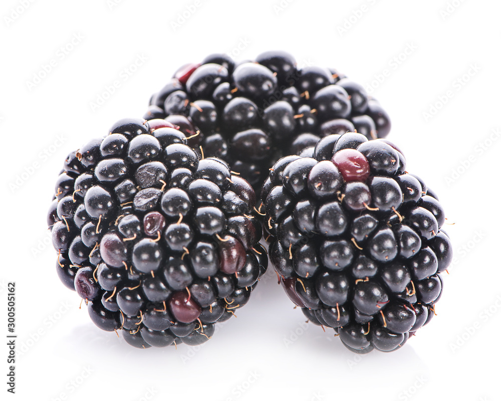 Blackberries isolated on white background Blackberries isolated on white background