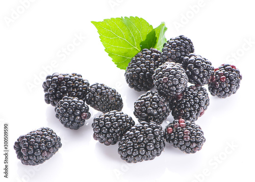 Blackberries isolated on white background