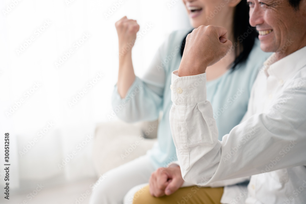 Fototapeta premium ガッツポーズをするシニア夫婦