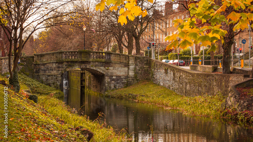 Autumn / Fall scene in Dublin, Ireland. Beautiful autumnal colors and old stone bridge on Grand Canal. photo