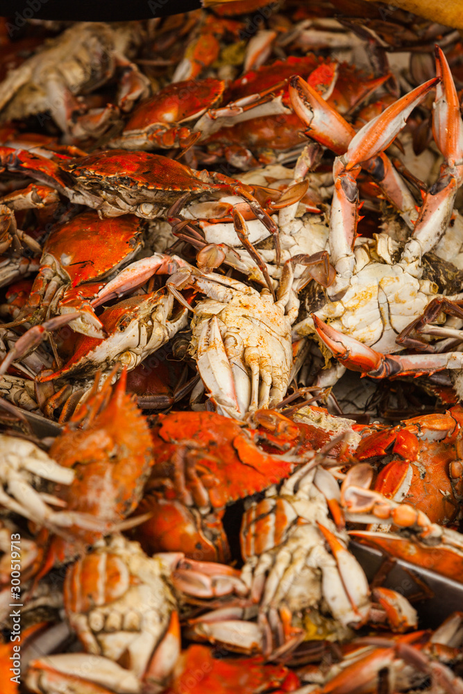 Pile of cooked (boiled) fresh Crabs, Close-up Pile of cooked (boiled) fresh Crabs, Close-up