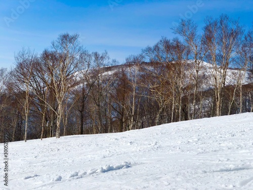 Wallpaper Mural Ski runs and snowy mountain in Niseko in Hokkaido, Japan. Torontodigital.ca