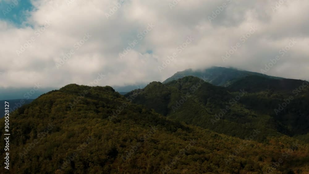 Aerial orbiting view of mount Etna with woods in autumn
