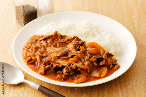 ハヤシライス　Hayashi rice, Japanese cuisine hashed beef rice. photo