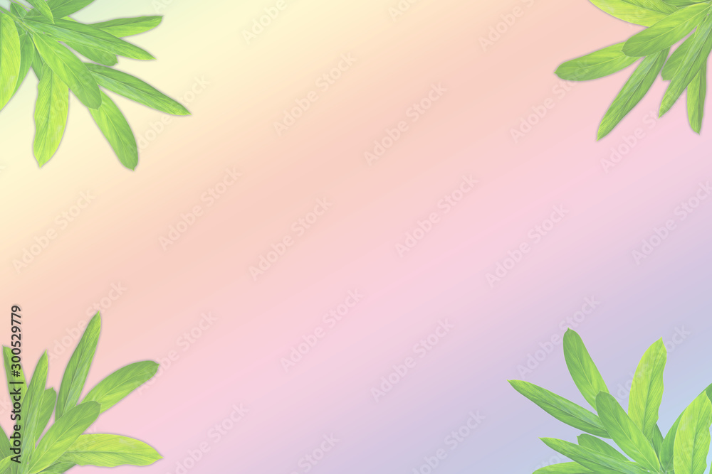 Fototapeta premium paper card with green leaves pattern