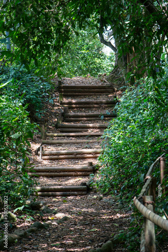 wooden stairway to heaven