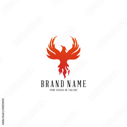 logo design phoenix vector template white background