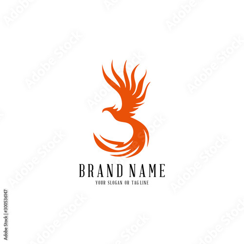 logo design phoenix vector template white background