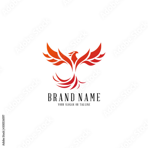 logo design phoenix vector template white background