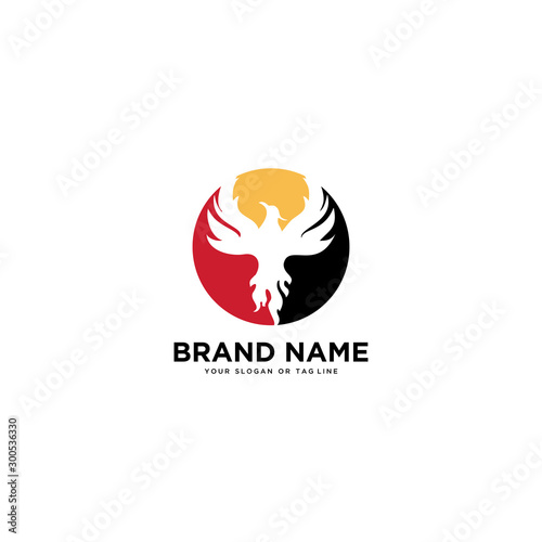 logo design phoenix vector template white background