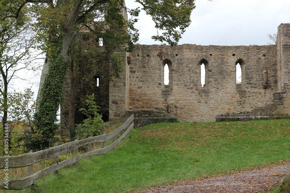 ruins of old castle