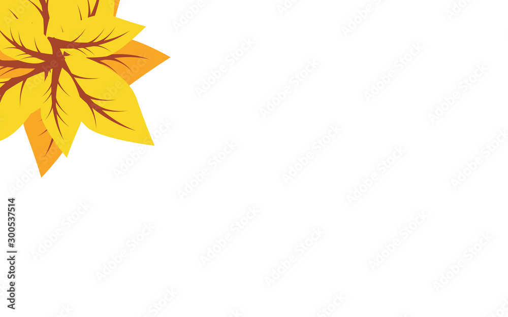 Orange leaves with white background Orange leaves with white background
