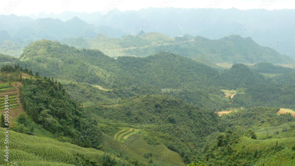 Obraz premium Vietnam, Rice fields, agriculture, village