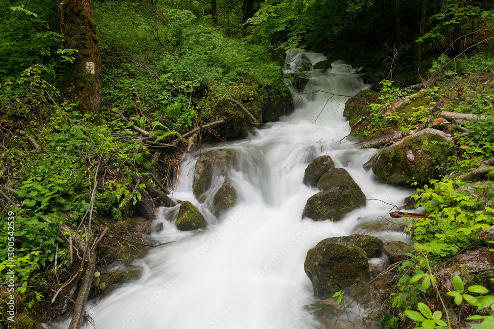 Rapids on the forest stream, Papuk Nature Park, Croatia Rapids on the forest stream, Papuk Nature Park, Croatia