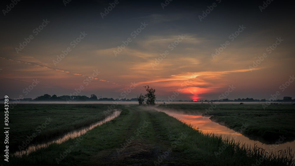 Naklejka premium Silent Sunrise