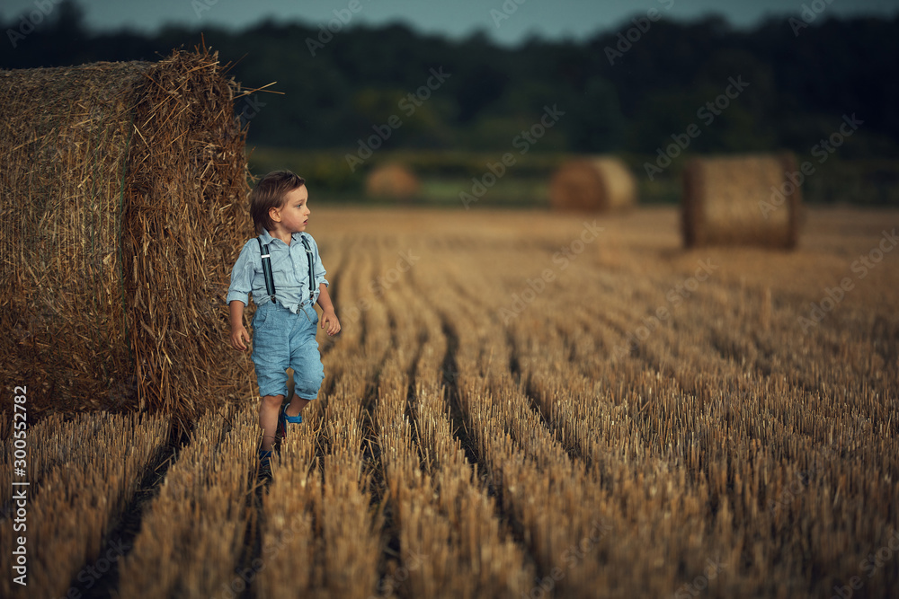 Cute little boy walking among the sheafs - countryside shot Cute little boy walking among the sheafs - countryside shot