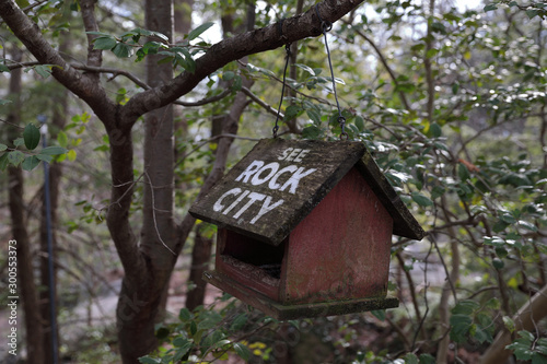 A wooden bird house with white inscription "See Rock City" on it hanging on a branch of a tree in a park at Lookout Mountain in Lookout Mountain, Georgia © Dmitry