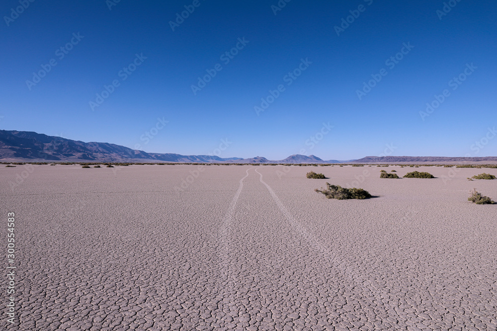 Car trails on a playa of Alvord Desert, South Ogeron. Steens mountains in the background