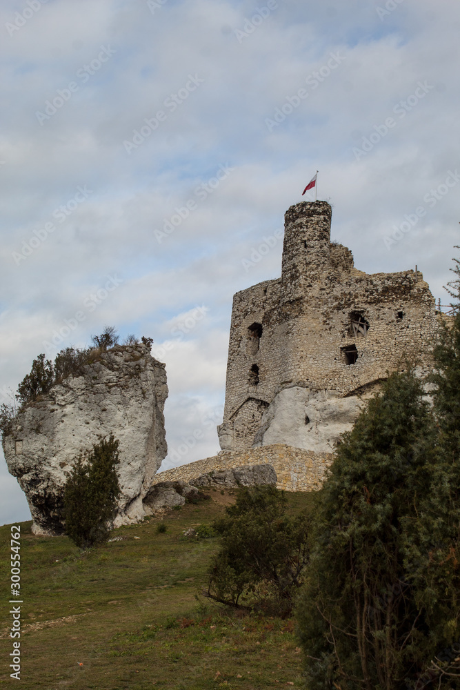 The ruins of a medieval European castle against the backdrop of a rocky ridge, blue sky, coniferous forest and green meadows. The ruins of a medieval European castle against the backdrop of a rocky ridge, blue sky, coniferous forest and green meadows.