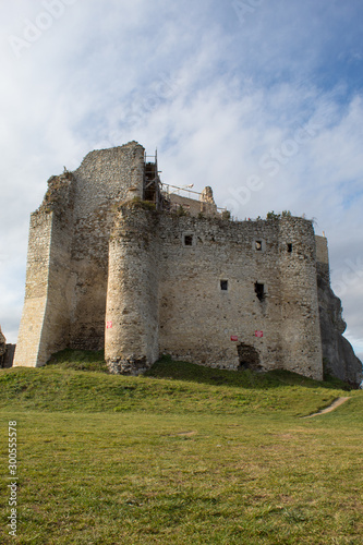Obraz na płótnie The ruins of a medieval European castle against the backdrop of a rocky ridge, blue sky, coniferous forest and green meadows. w salonie