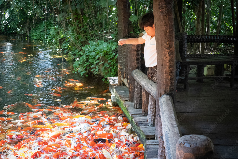 Obraz premium A boy is feeding koi at the river