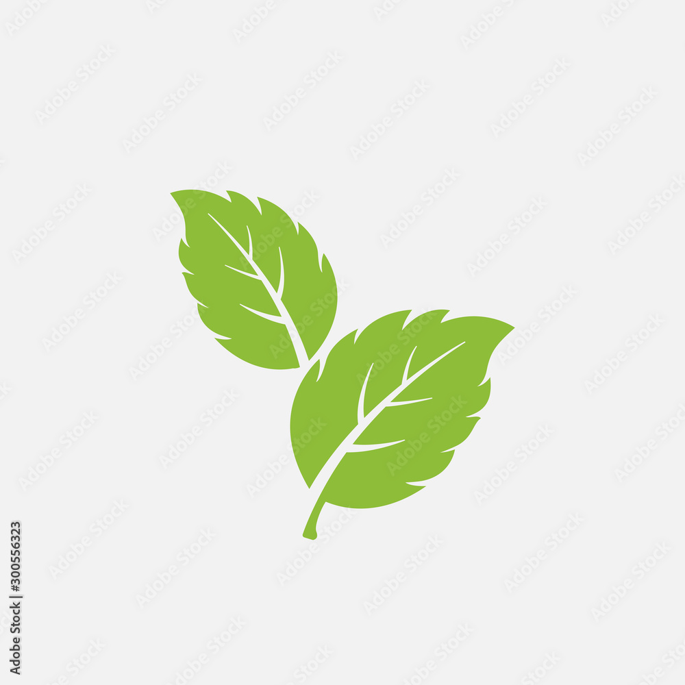 mint leaf element vector icon. green mint leaves vector symbol Stock