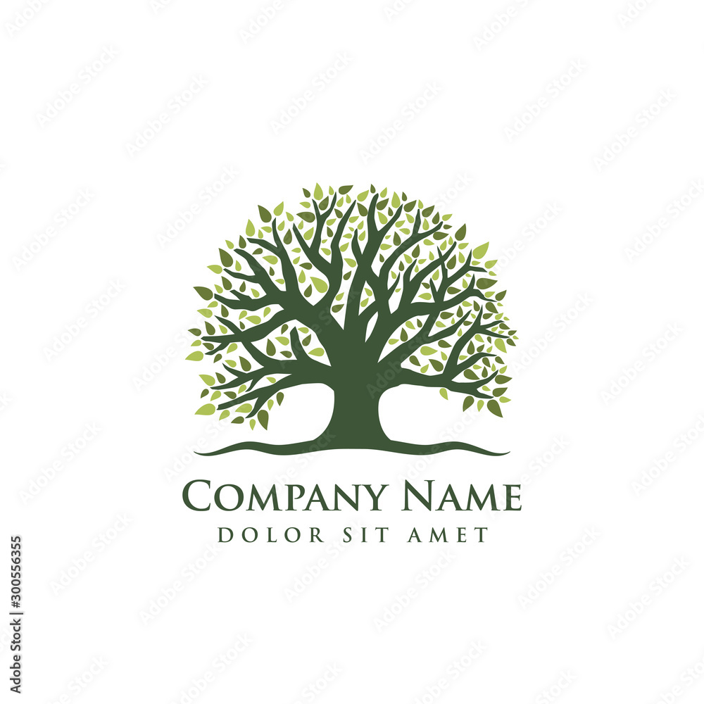 Obraz premium Root of the tree logo design illustration. Abstract vibrant tree logo design. oak tree vector illustration