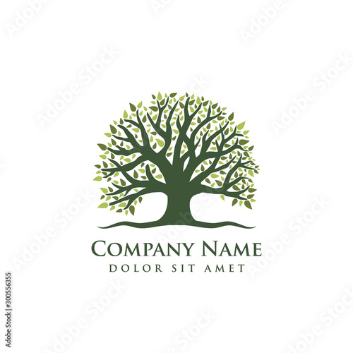 Root of the tree logo design illustration. Abstract vibrant tree logo design. oak tree vector illustration