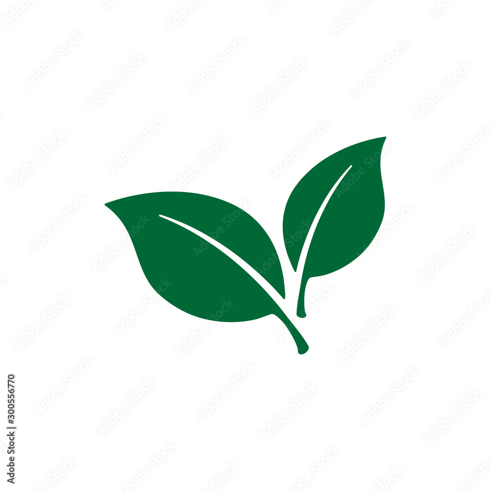 Obraz premium nature green leaf element vector icon. green leaves vector symbol