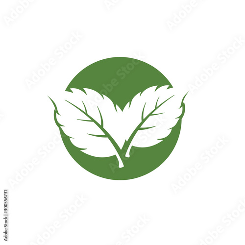 mint leaf element vector icon. green mint leaves vector symbol