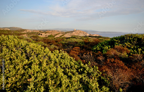 a glimpse of the splendid and wild coast that goes from Alghero to Bosa, in the northern Sardinia, on a sunny summer day