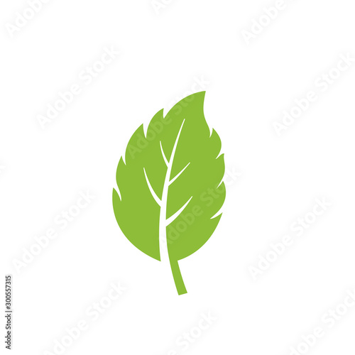 nature green leaf element vector icon. green leaves vector symbol