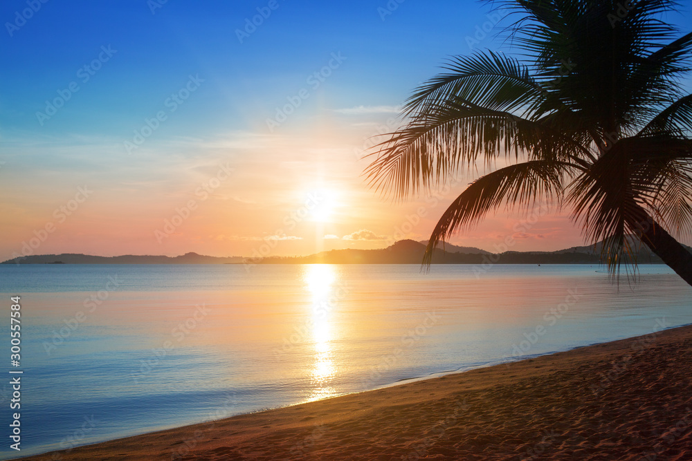 Beautiful sunrise on tropical paradise island beach landscape, scenic sunset on sea coast golden sun, blue sky, pink clouds background, sunlight reflection on water, palm tree silhouette romantic view