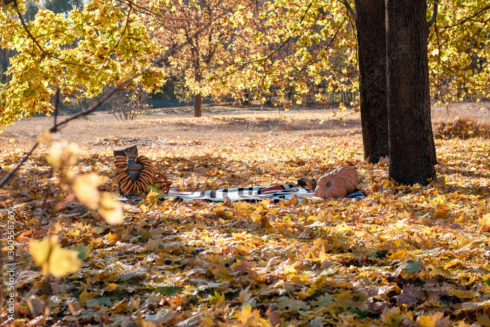 picnic bed in the fall picnic bed in the fall