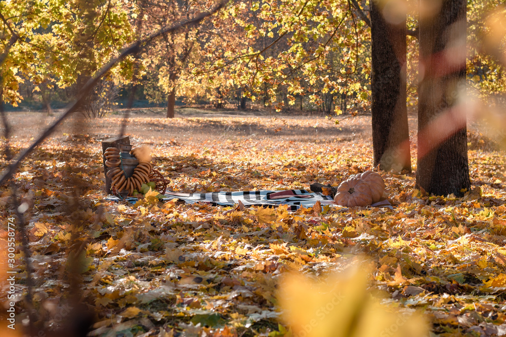 picnic bed in the fall