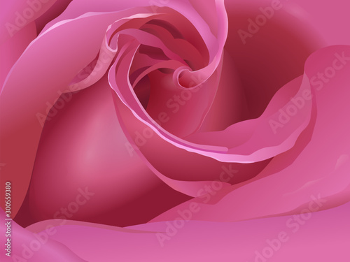 Primo piano di una rosa