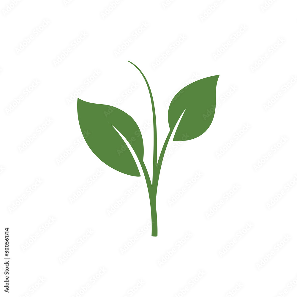 nature green leaf element vector icon. green leaves vector symbol