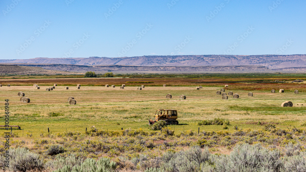 Rolled bales of hay on a field with yellow and green grass, south Oregon