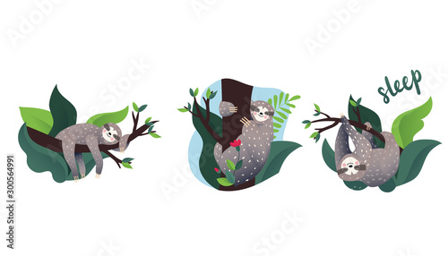 Set of cute lazy sloths sleeping on a branch of the tropical tree. Sleep type lettering. Vector calligraphy. Cartoon style, vector illustration. Slow down quote lettering.